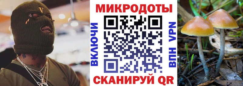 Галлюциногенные грибы Magic Shrooms Канск